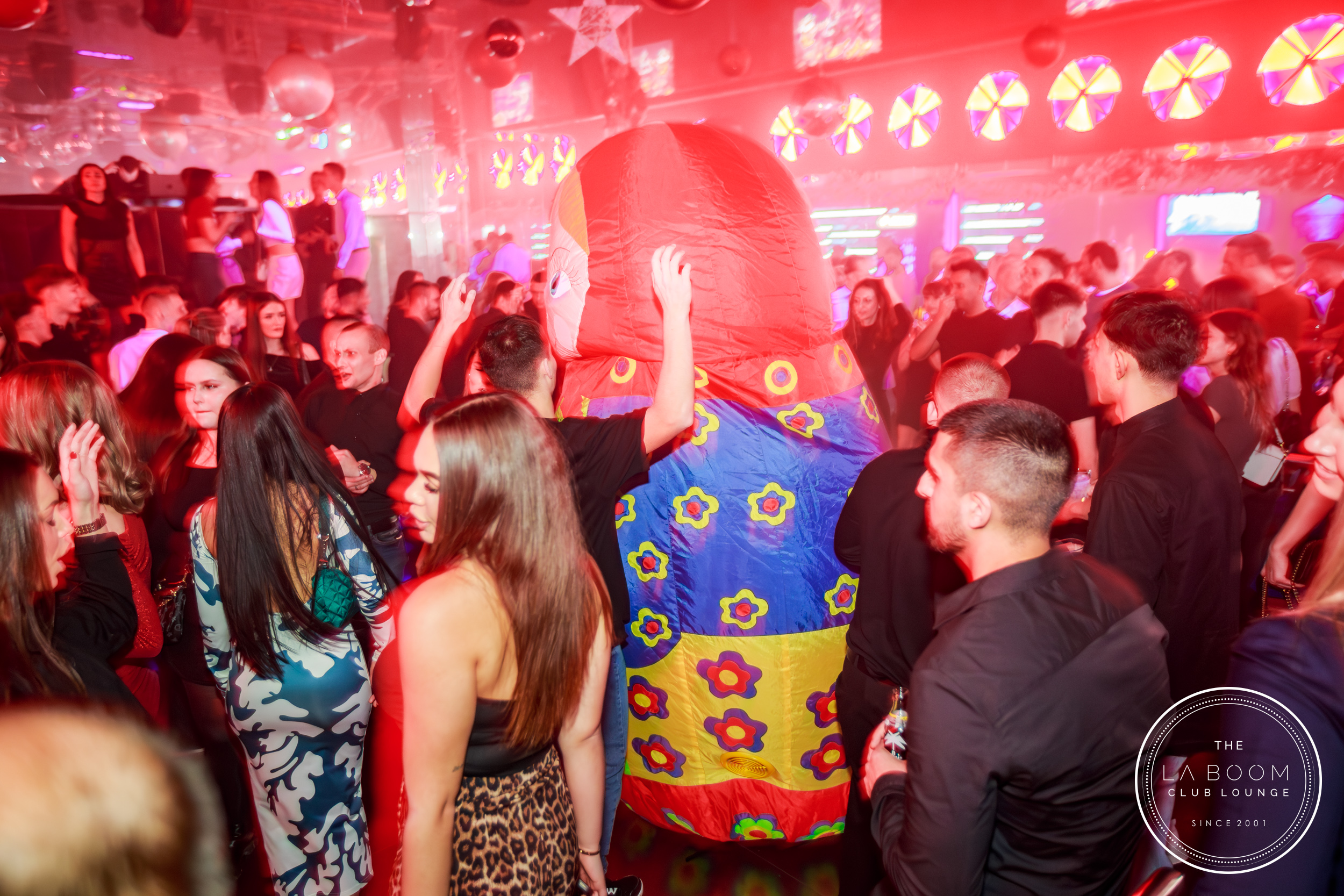 IMG 7856 Verbessert RR