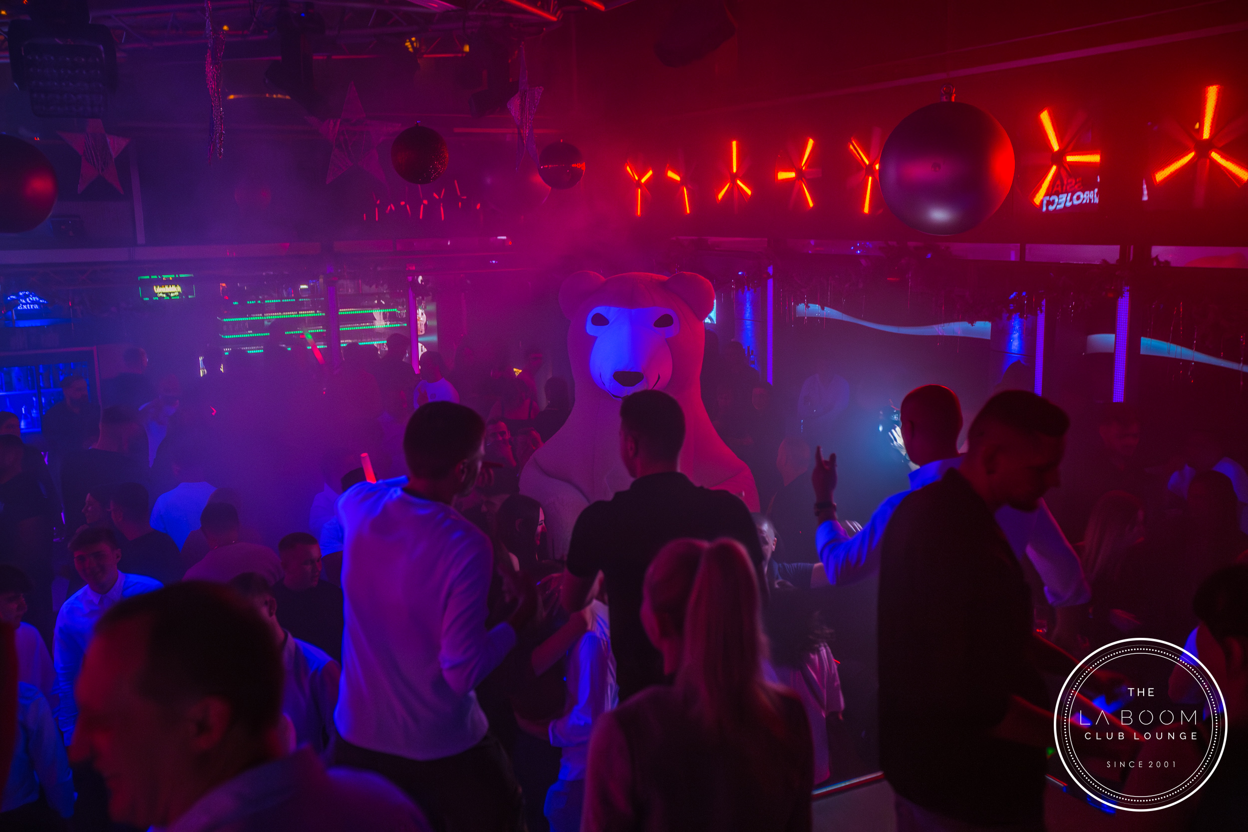 IMG 7874 Verbessert RR