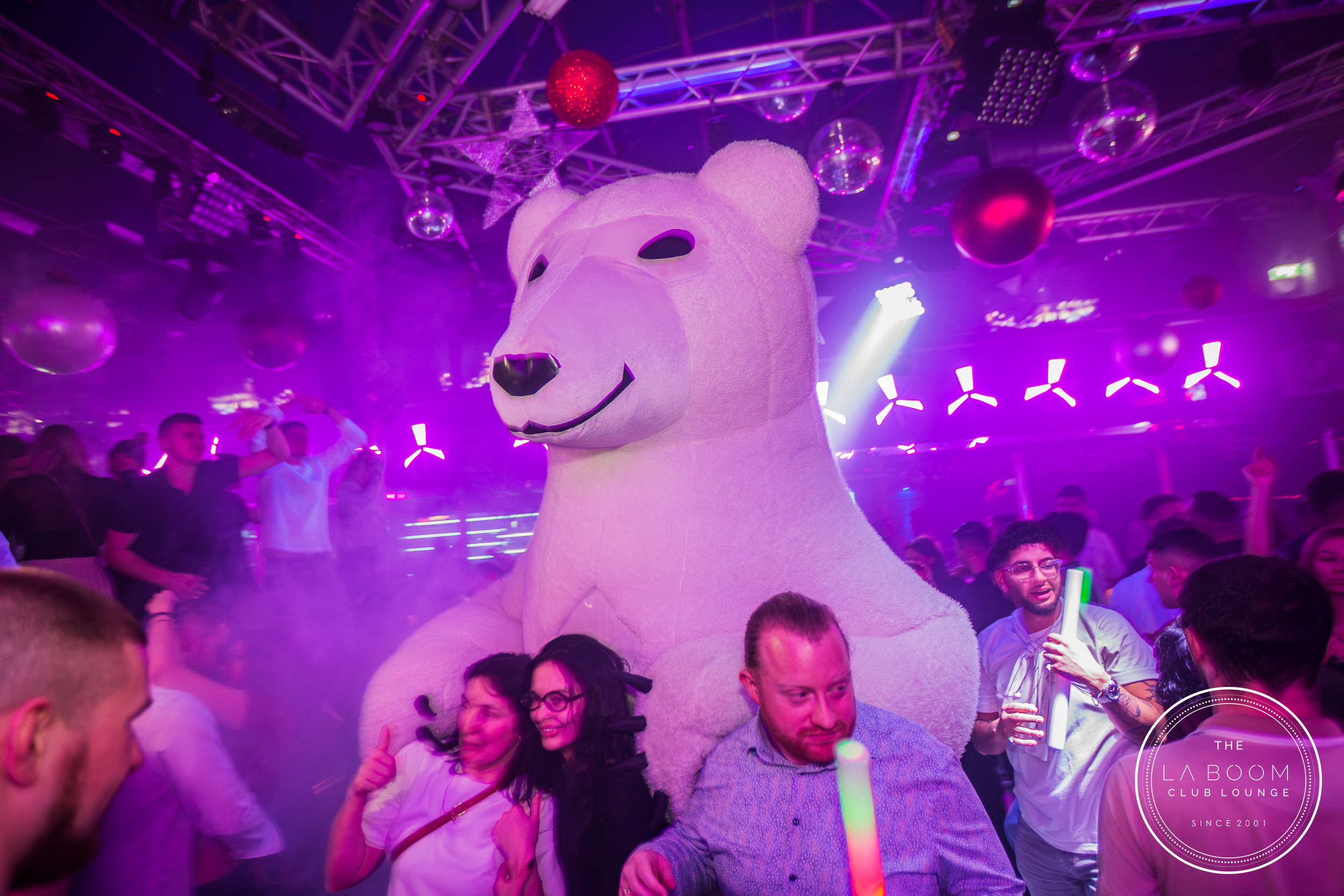 IMG 7885 Verbessert RR