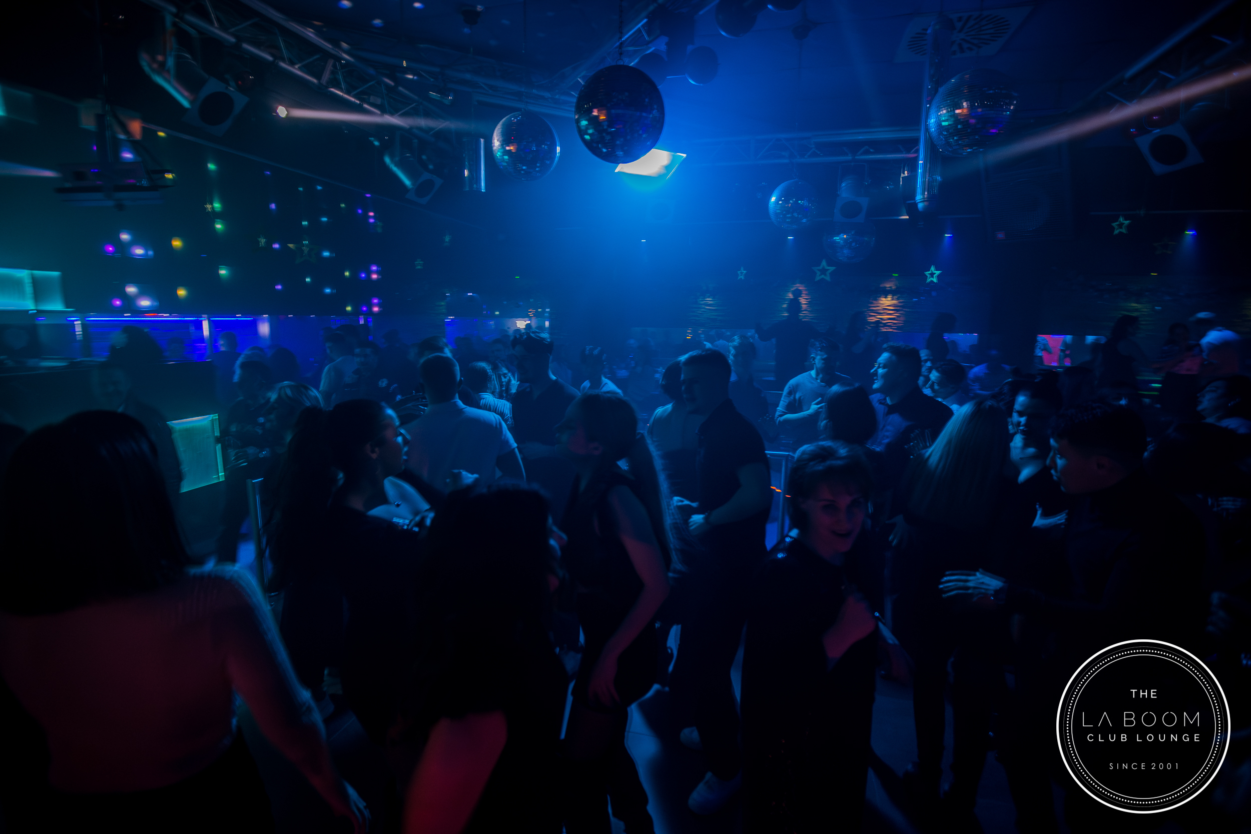 IMG 7990 Verbessert RR