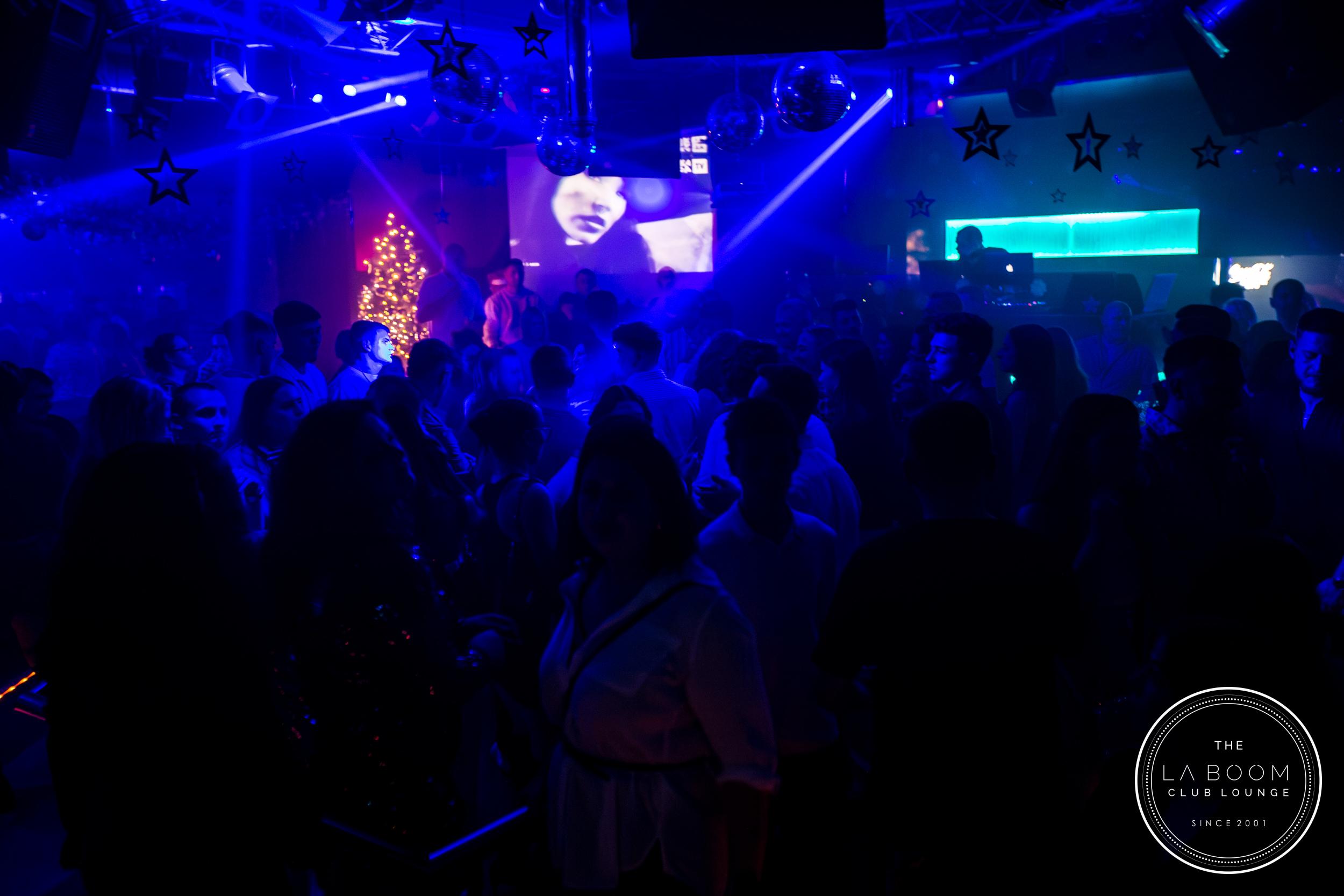 IMG 8138 Verbessert RR