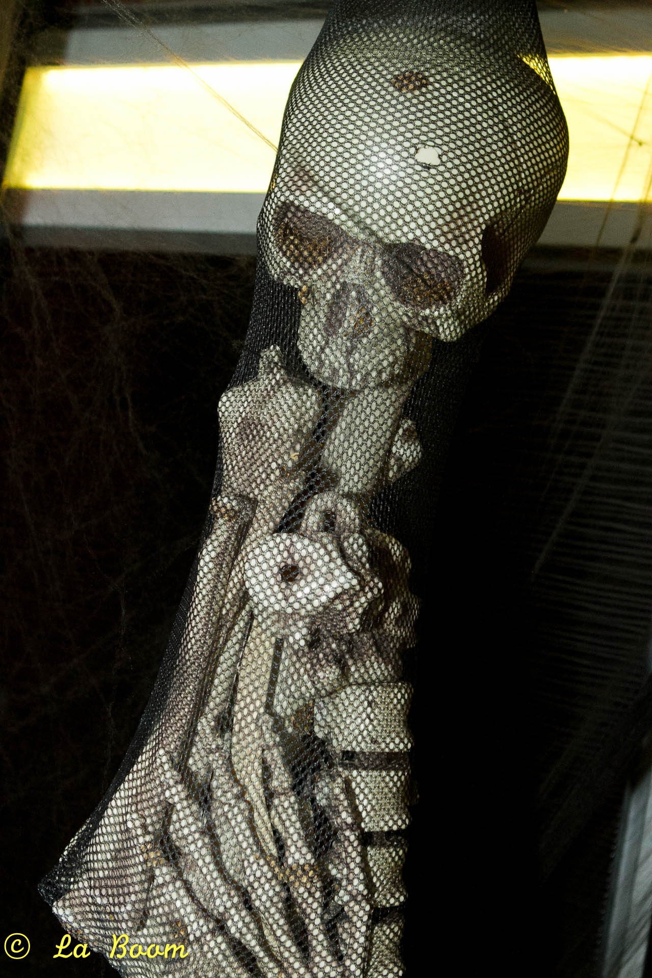 20111029 IMG 3795