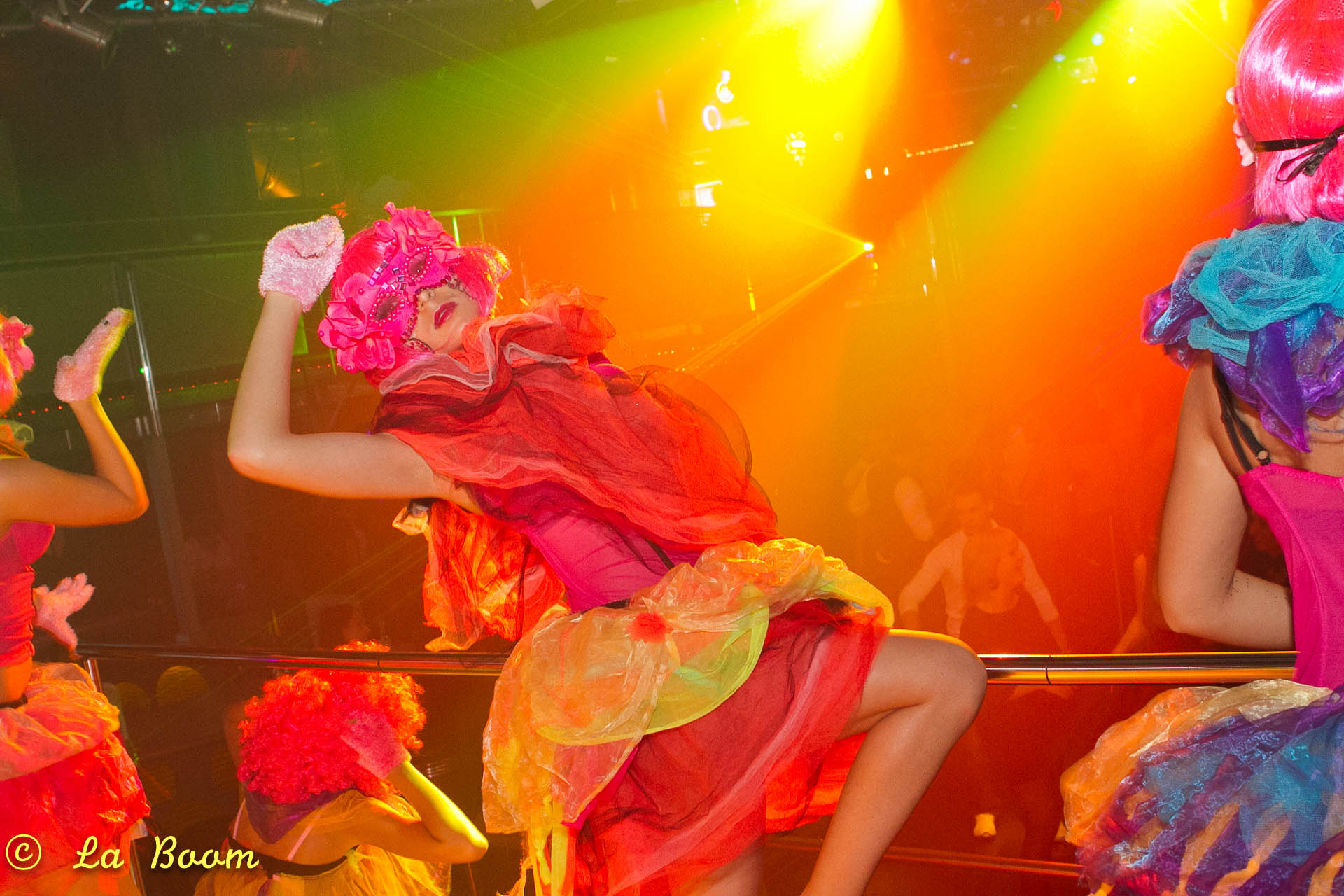 20111106 IMG 4583