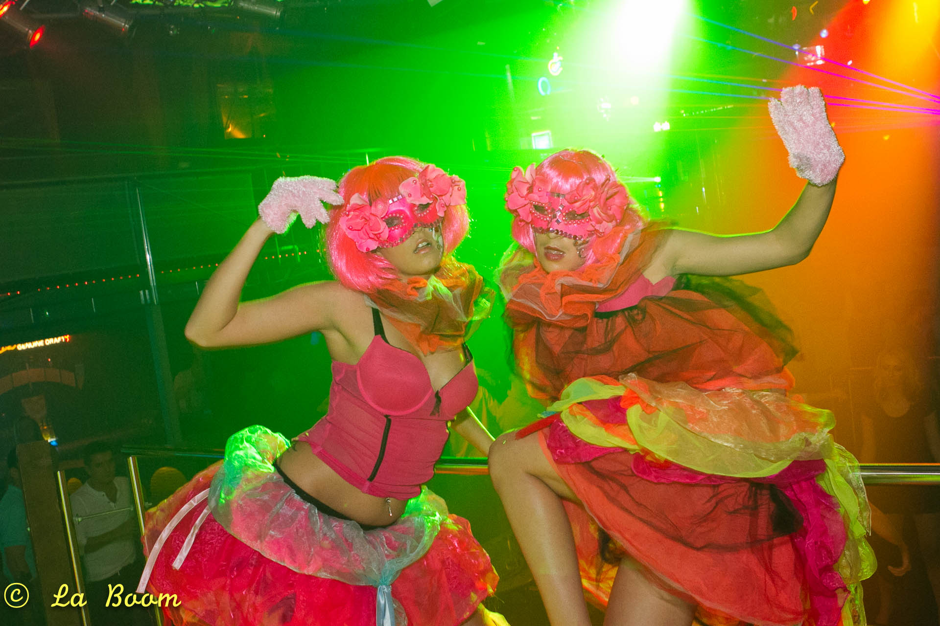 20111106 IMG 4585