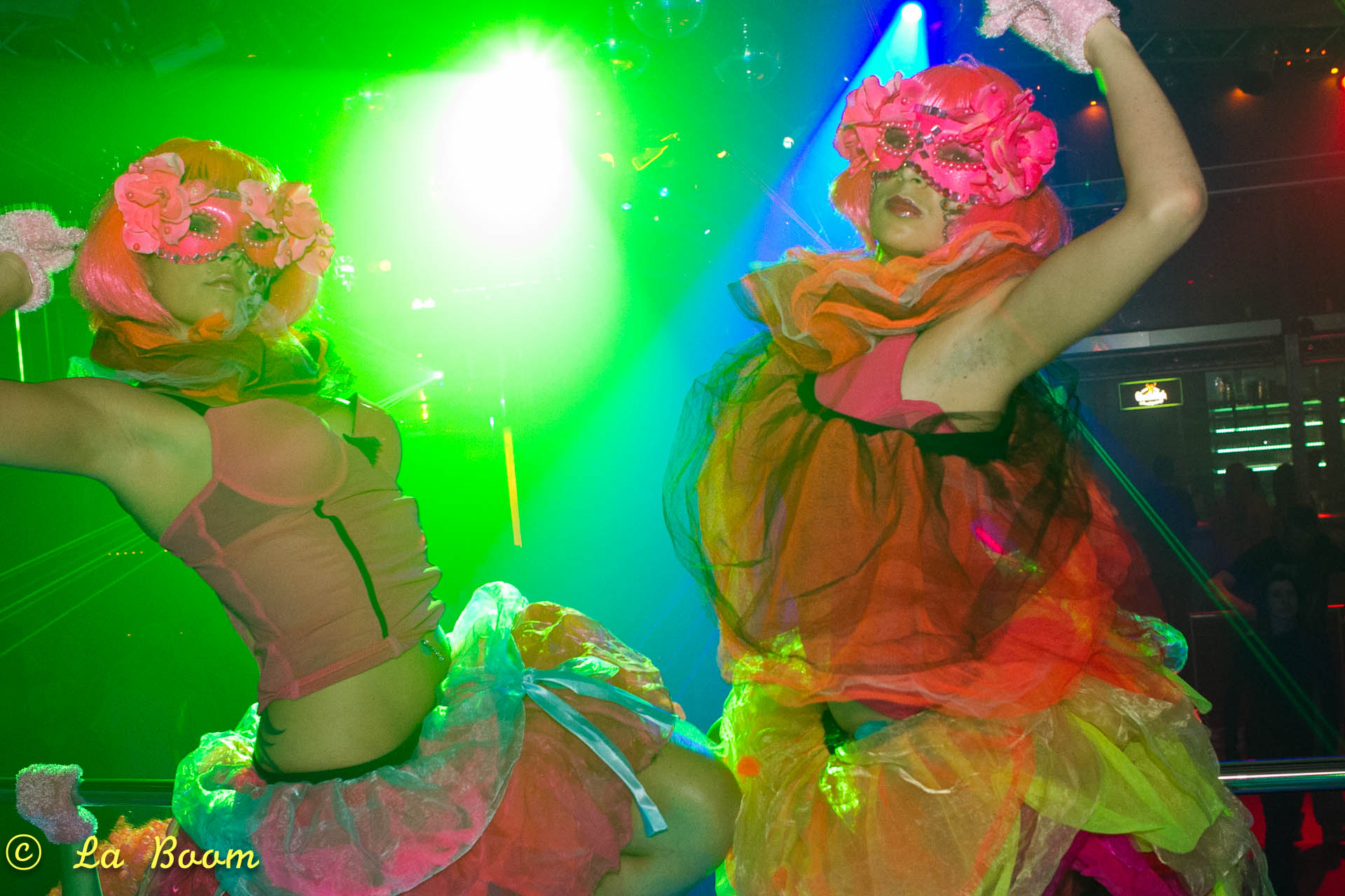 20111106 IMG 4587