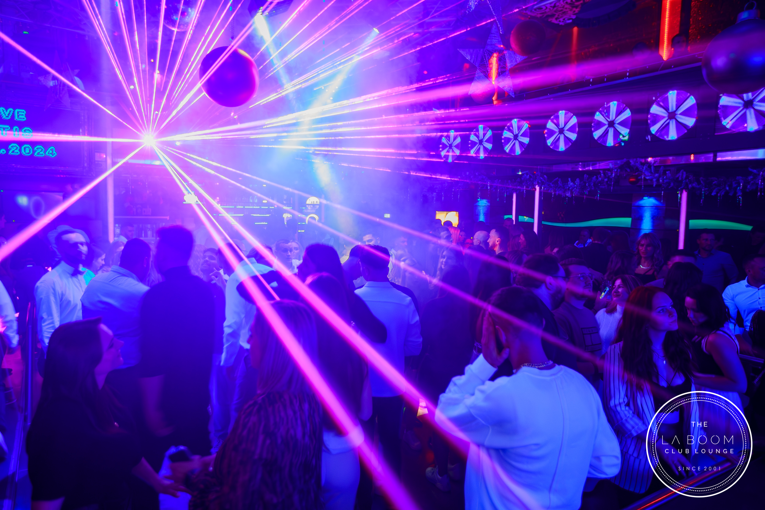 IMG 3860 Verbessert RR