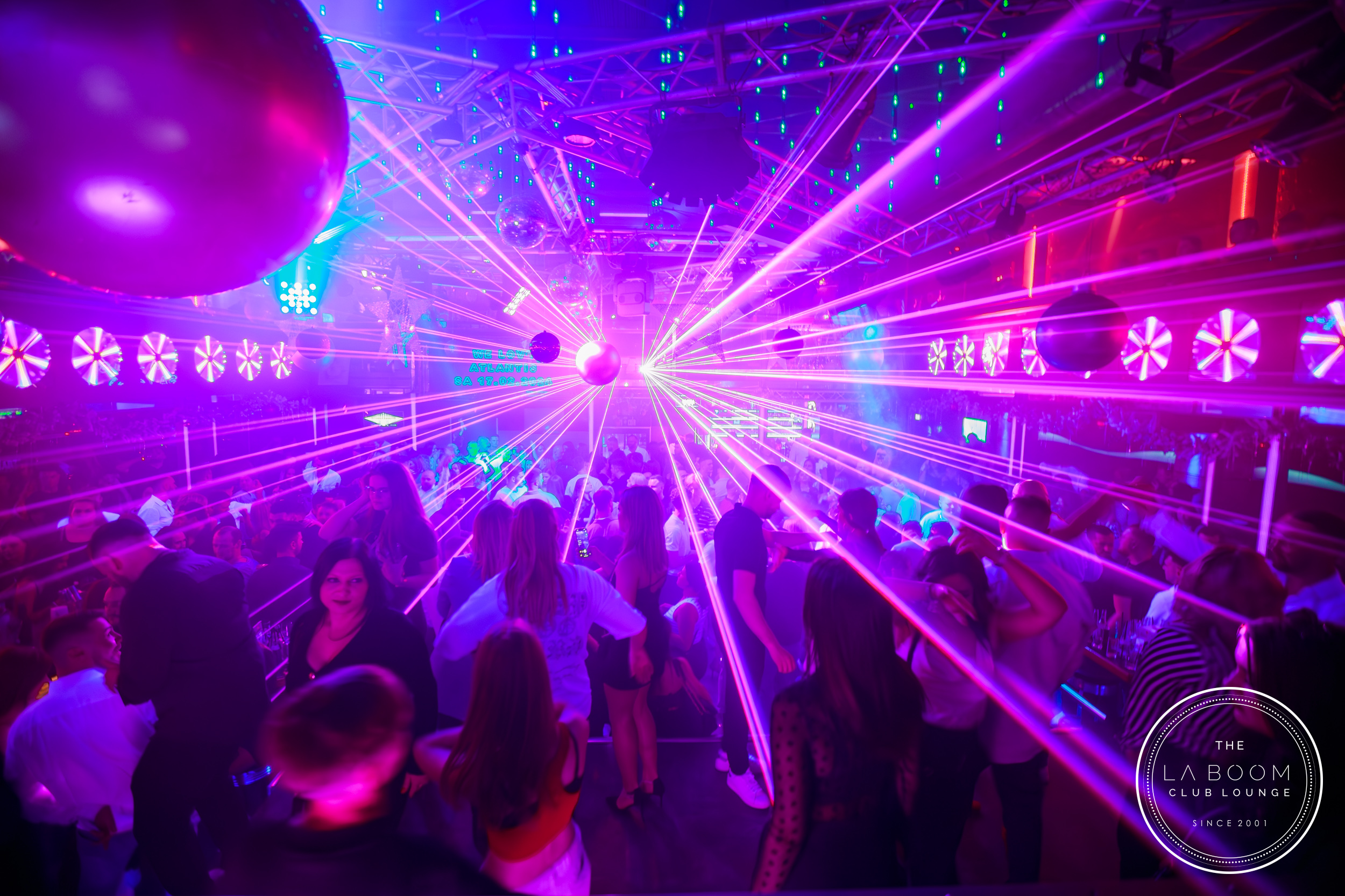 IMG 3976 Verbessert RR